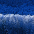 hss