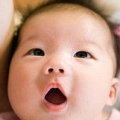 蘿蔔
