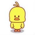 小雞