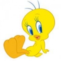 SONG_KM