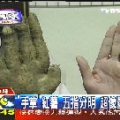 選擇權之神