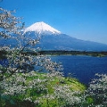 岩石