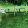 股海贏家