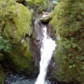 hyumi