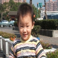 johnlin_lion