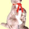 Kangaroo