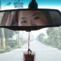 龍虎