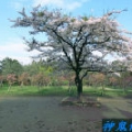 錢莊理事