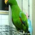 A6888888