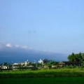 小玉玉