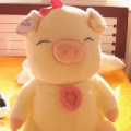 豬小妹三淑
