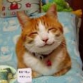 天宇