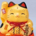 夾縫中生存