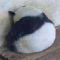 內心揪結