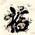 新手中的新手