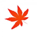 星楓坐浪