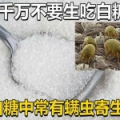 營長的大哥