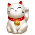游小乙
