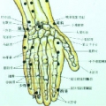 張良良