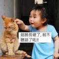 一箭中的awesome