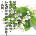 庭聿