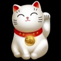 小CHUN