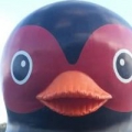 發財呼嚕伯