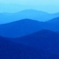 會賺