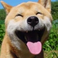 游