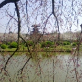 小盈