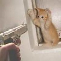 別動搶劫