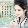 泰迪01