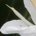 小紀168