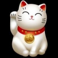 小米缸