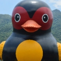 古股胖