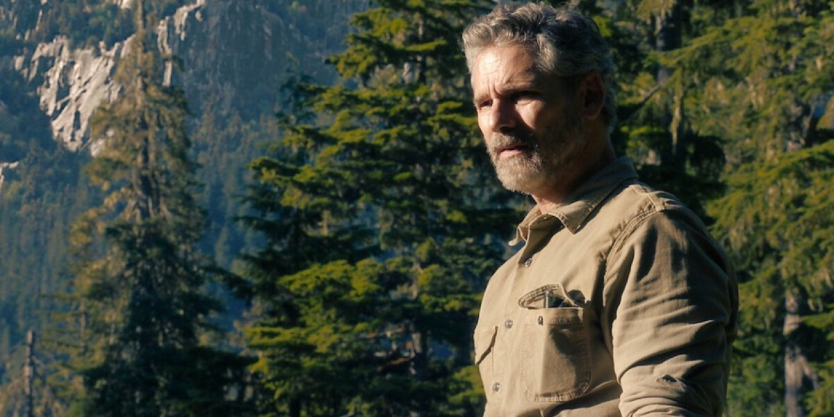 Untamed Returns - Season 2 Details & Cast